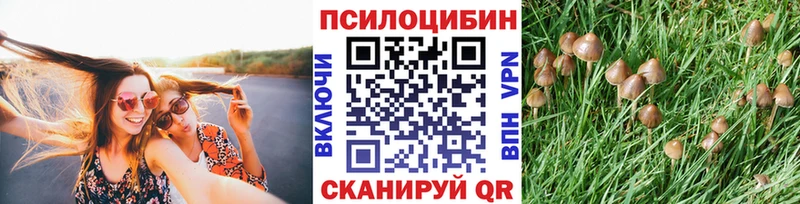 Галлюциногенные грибы MAGIC MUSHROOMS  Купить где  Давлеканово 